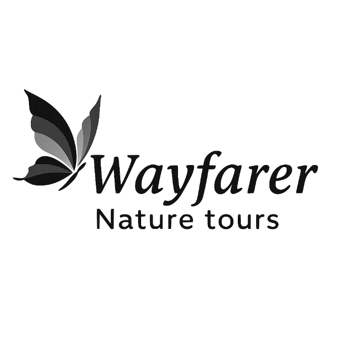 Wayfarer